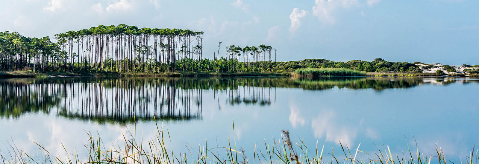 Beautiful Views - Old Seagrove Family Vacations